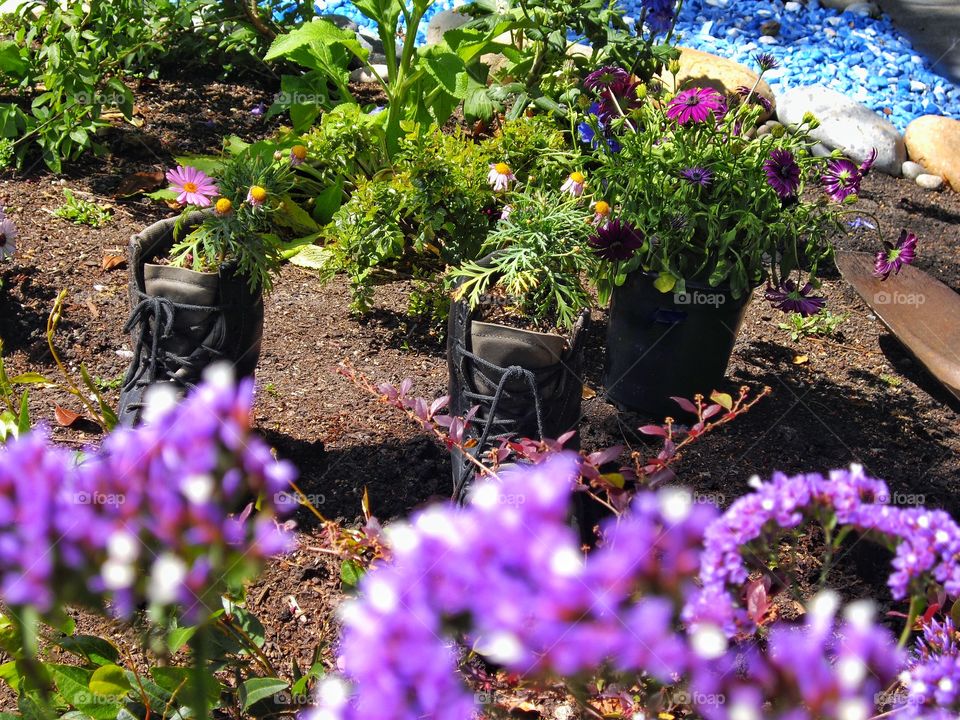 Drought Tolerant Gardening
