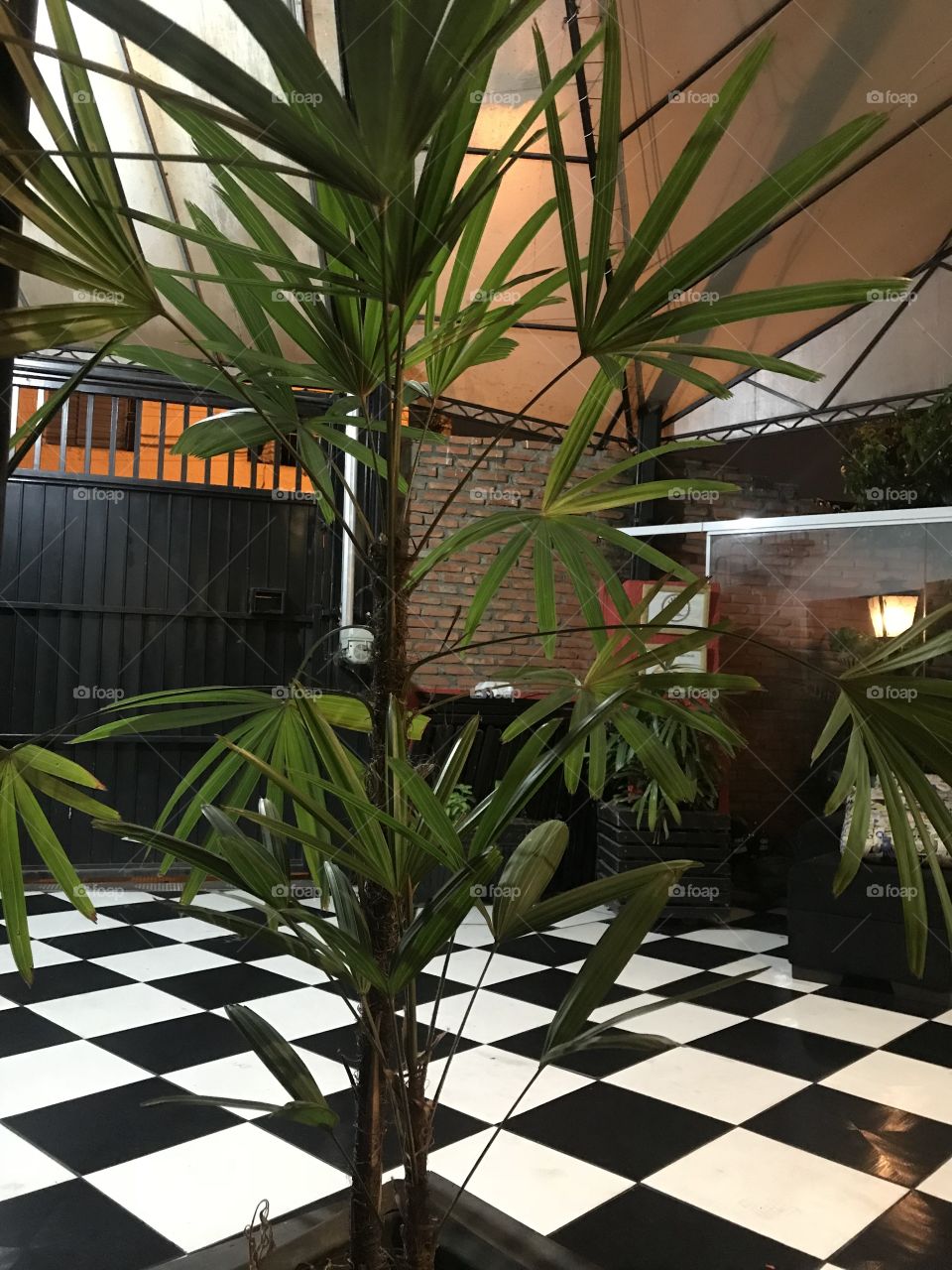 Inside the restaurant night 