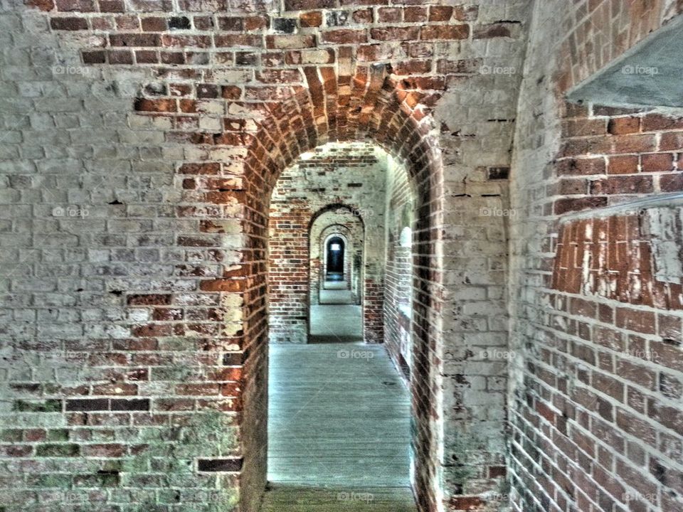 Fort Macon day