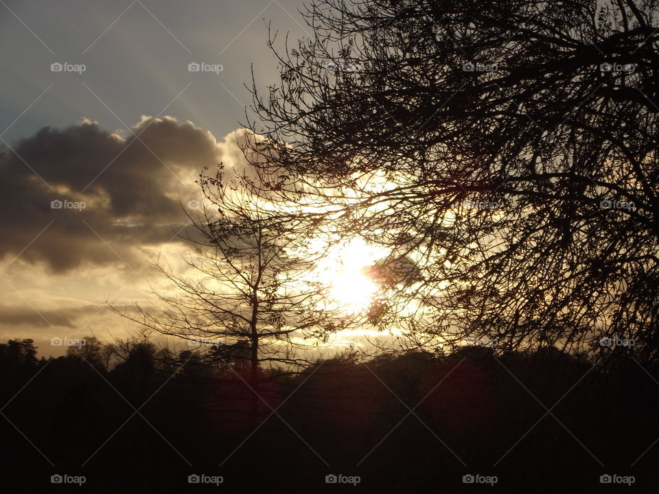 Landscape, Sunset, Dawn, Tree, Sun