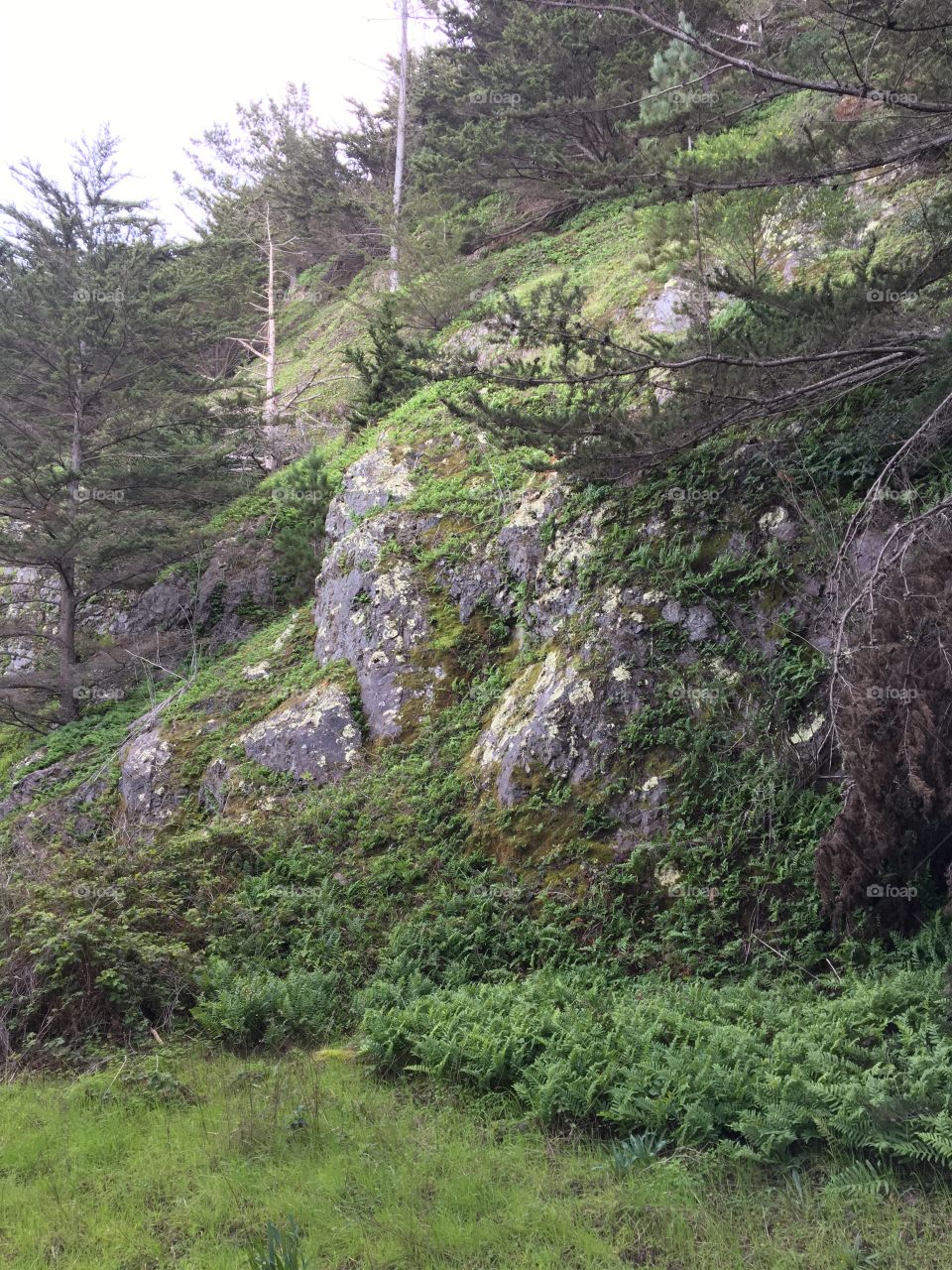 Lands end coastal trail 