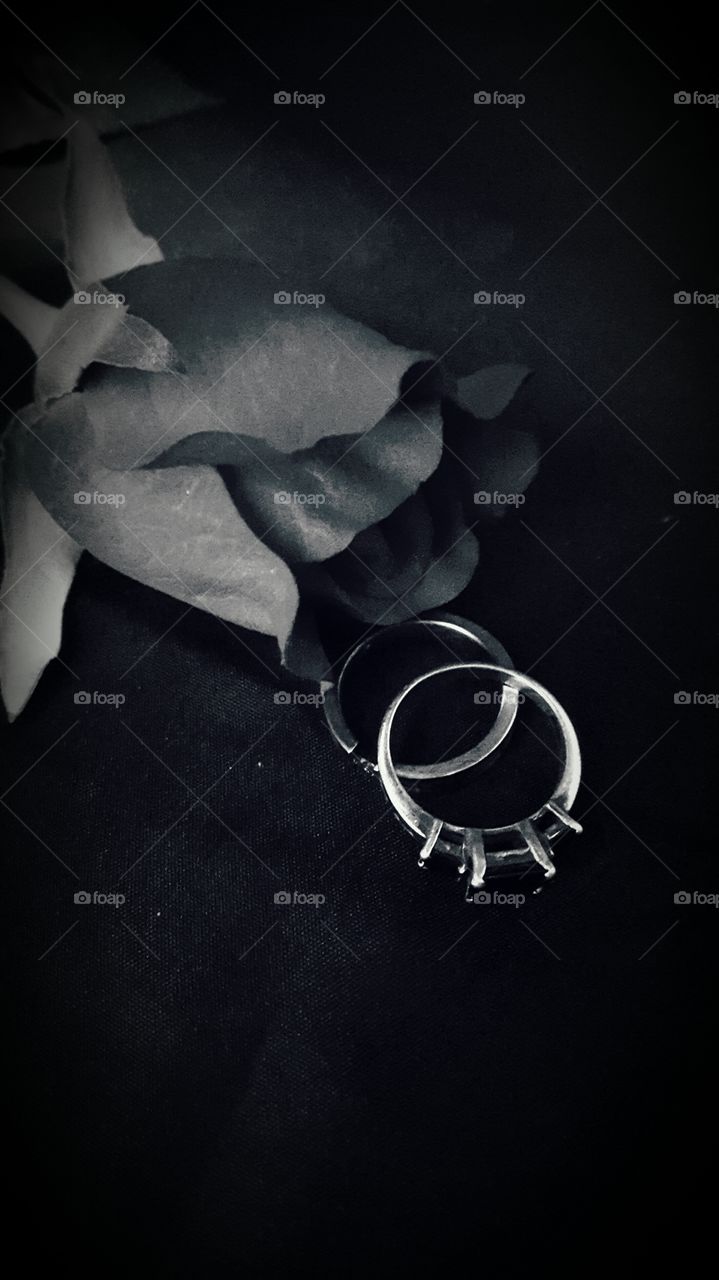 Rings and rose