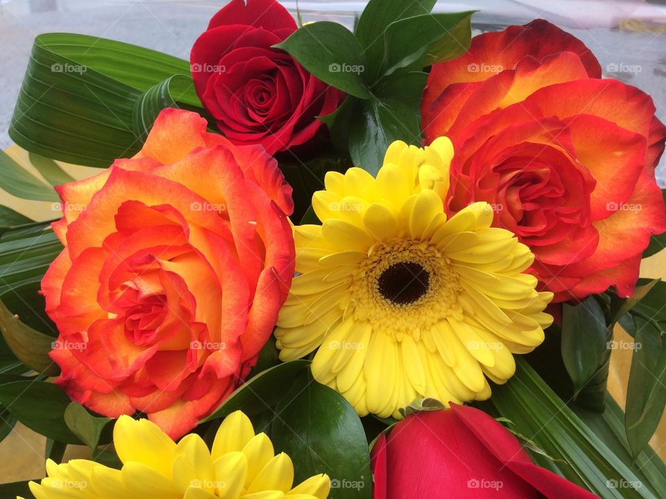 Colourful Bouquet