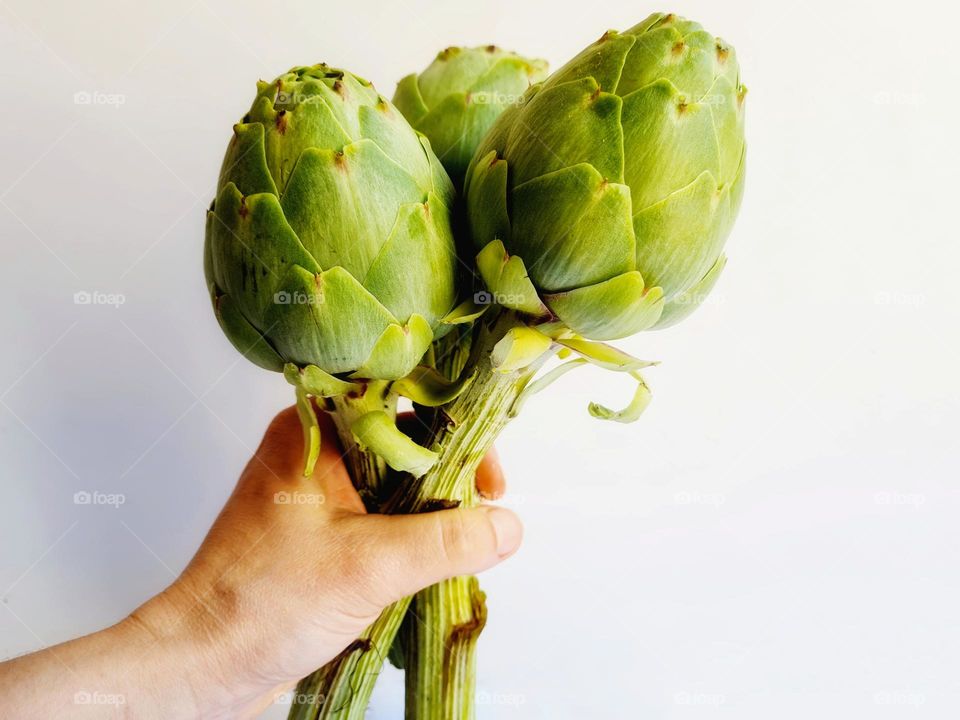hand holds bouquet of artichokes