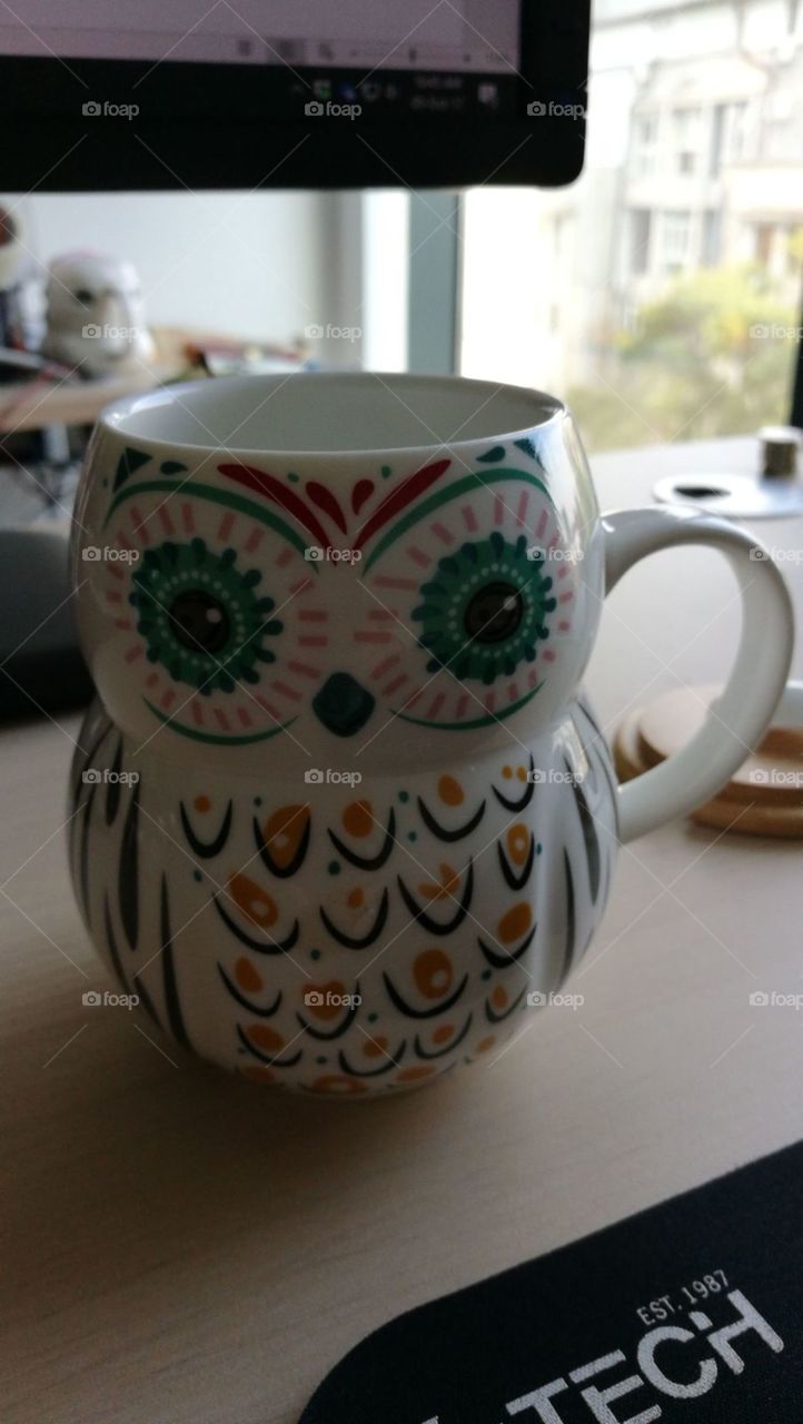 Coffee owl
