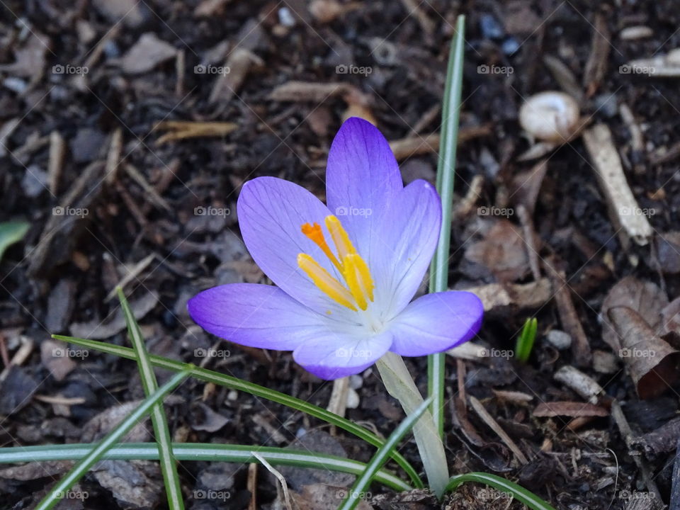 Kurpark in Bad Wildbad