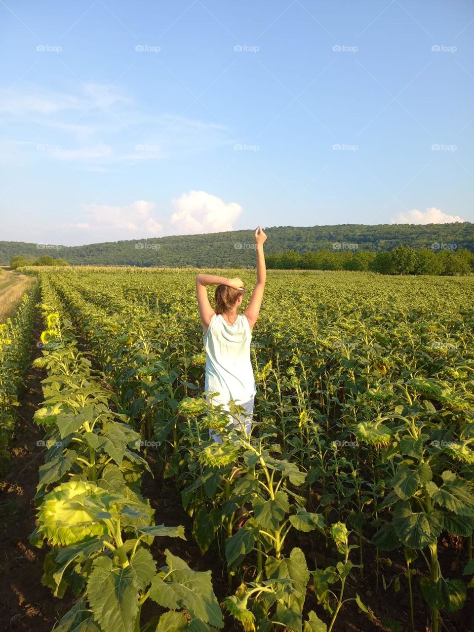 beautiful and happy girl in a field with sunflowers