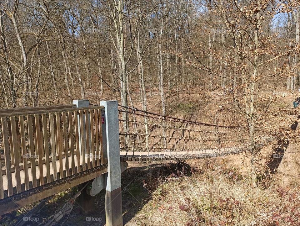 Hängebrücke im Wald