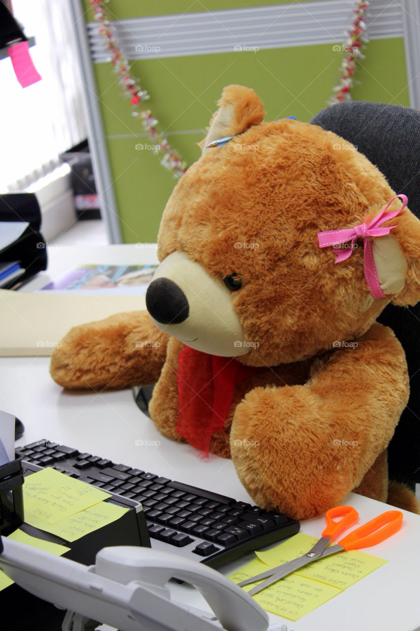office work keyboard bear by cataana