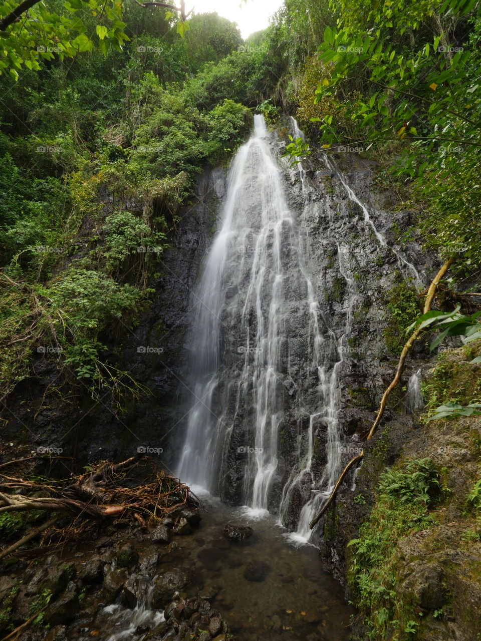 Waterfall in the forest