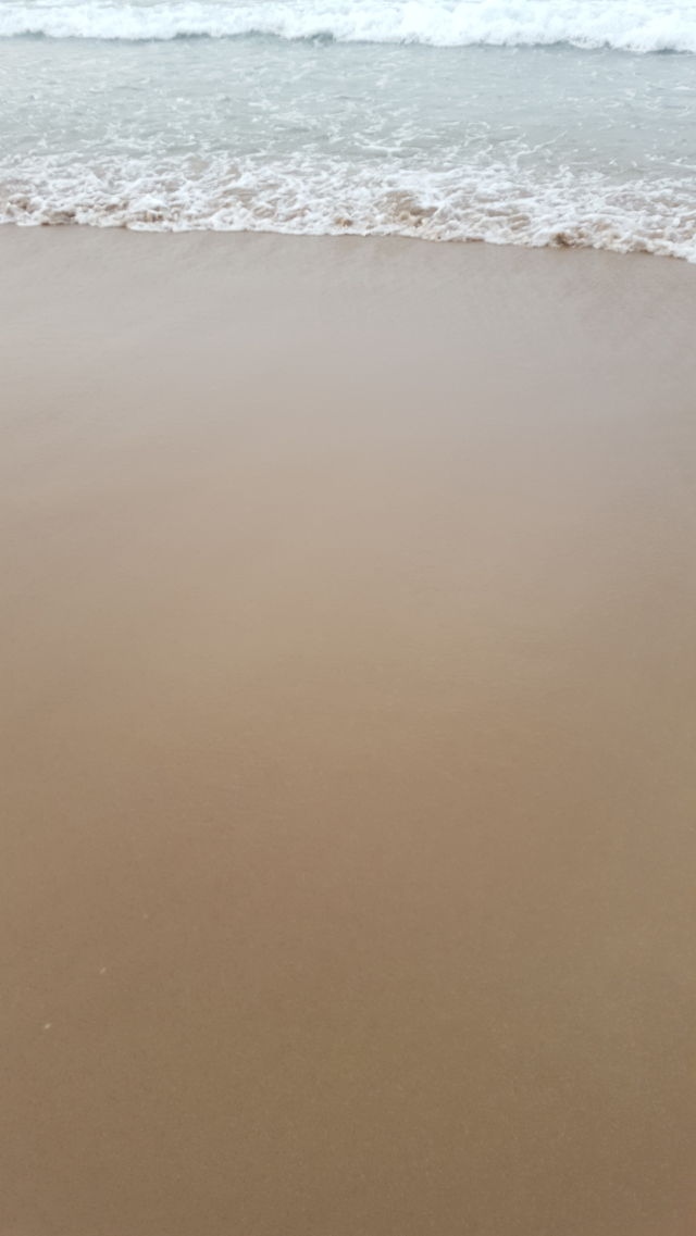 wallpaper