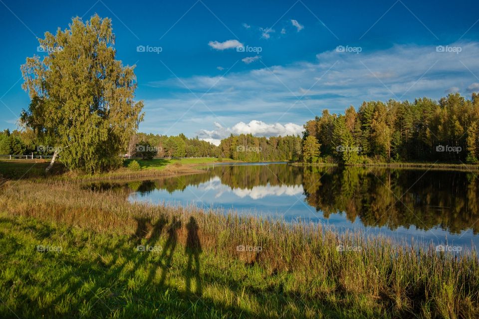 
Beautiful nature and views of Estonia