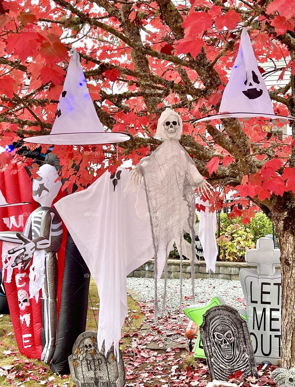 Halloween decorations on the tree with ghost, skeleton and witch hats