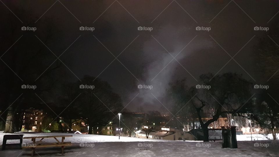 A park in Oslo'In'Norway