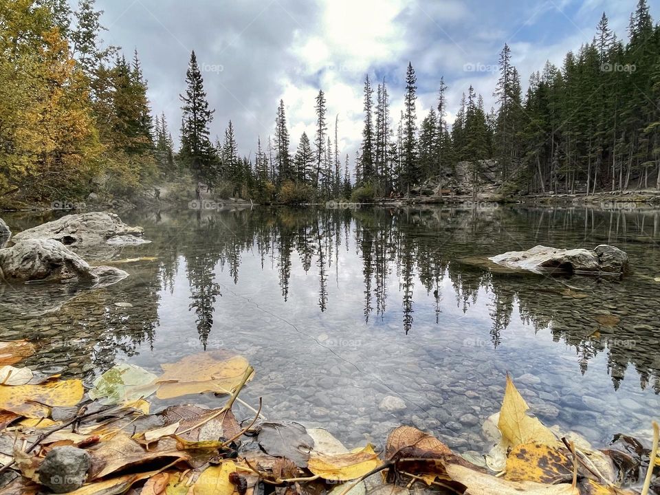 Autumn reflections