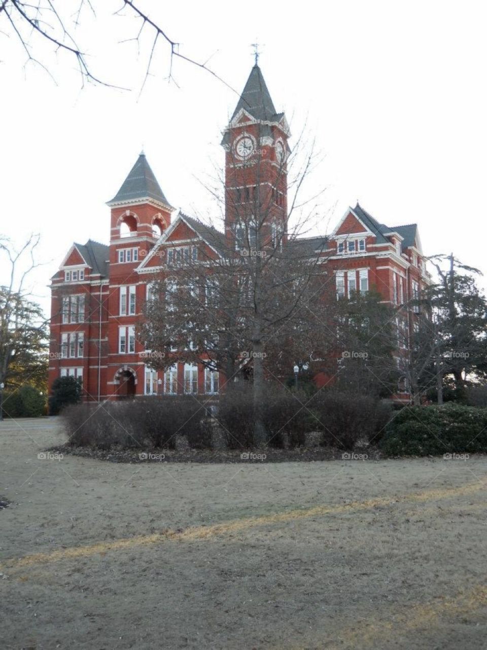 Auburn University campus 
