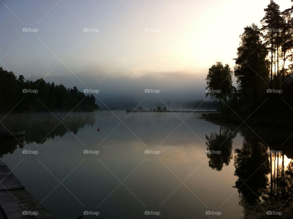 landscape ocean nature trees by paula