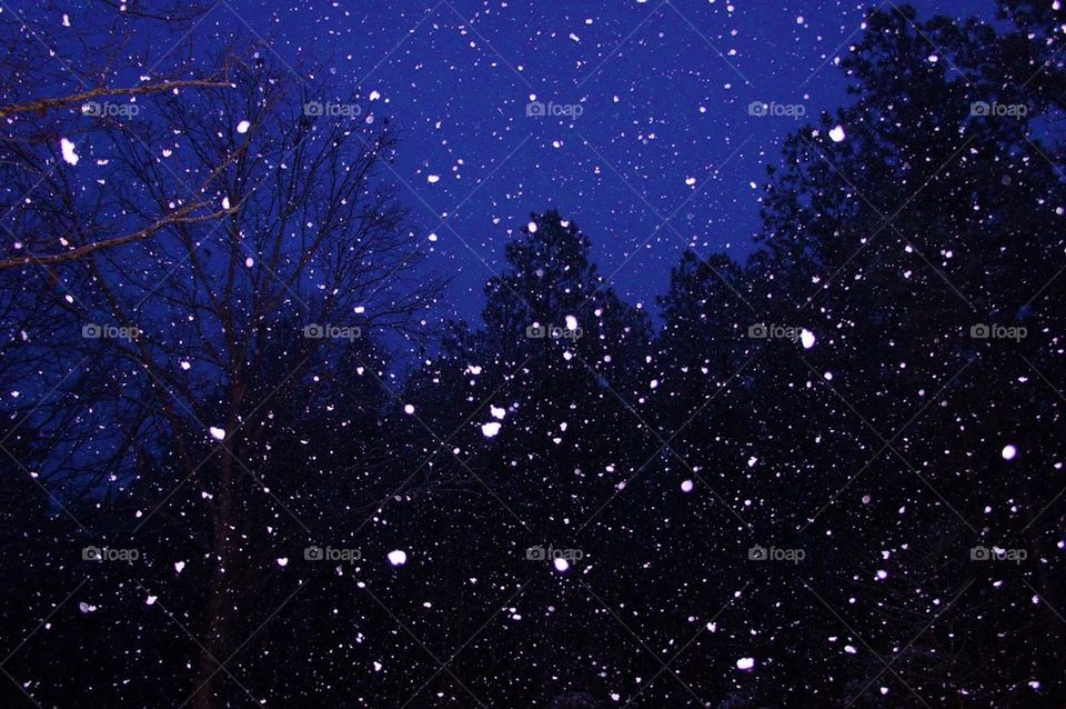 Snowy Night Sky