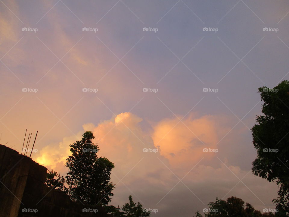 clouds in tree