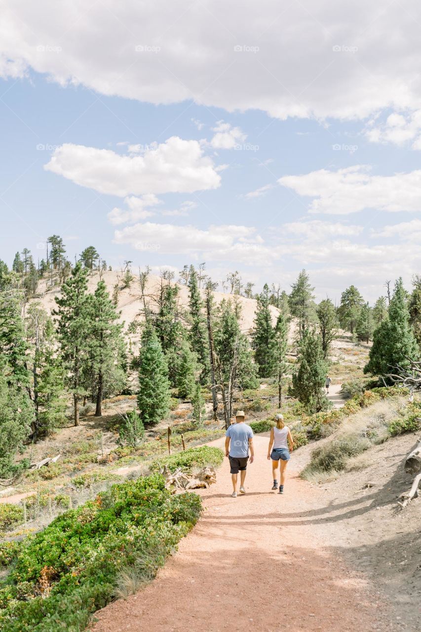 Hiking trail 