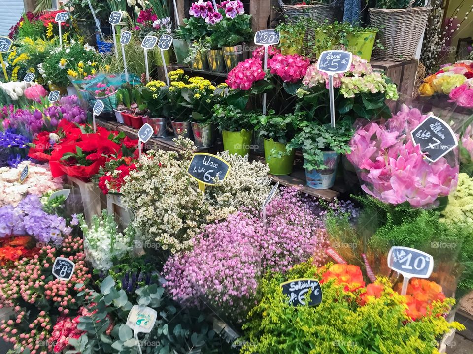 Flower market in Paris France.