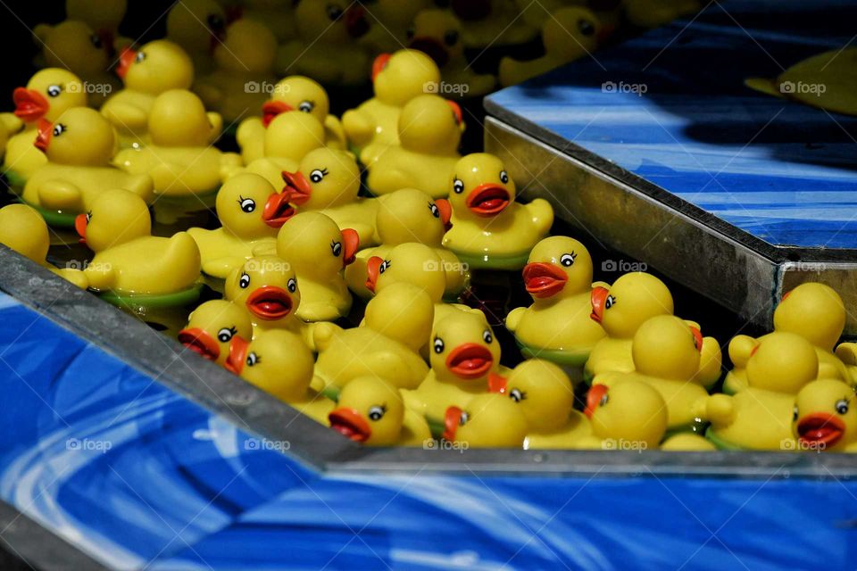 Pick a Duck