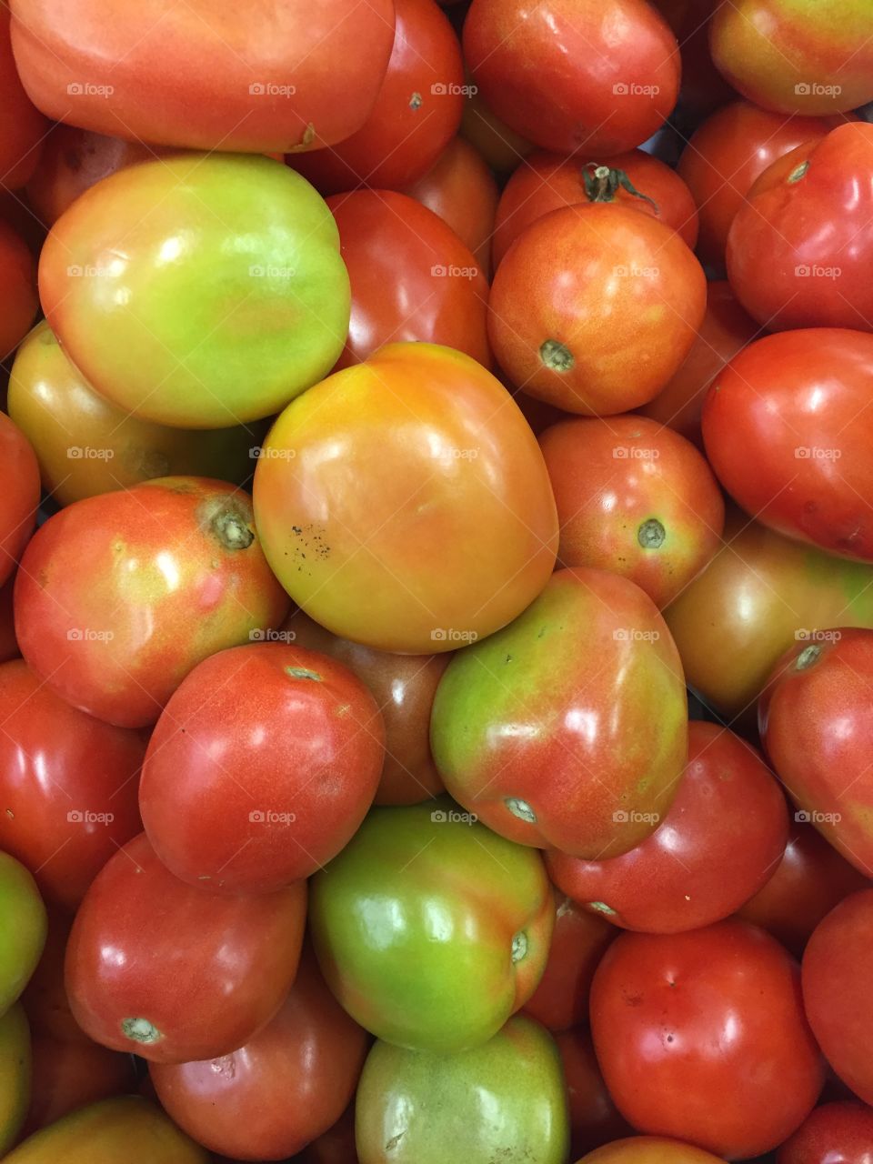 Tomato - tomates