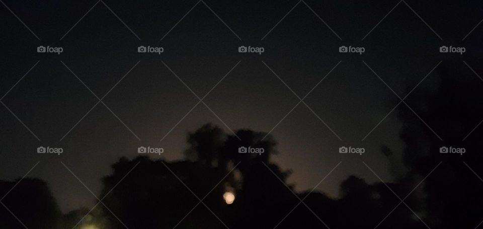 Moon over tree line