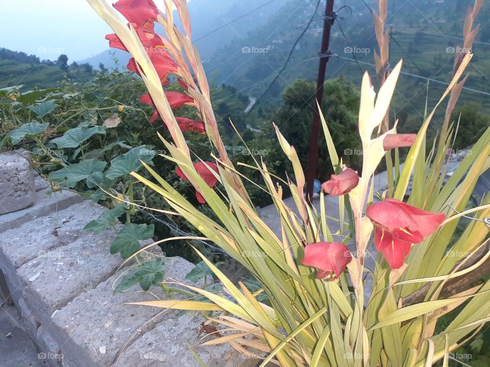 uttrakhand evening time view