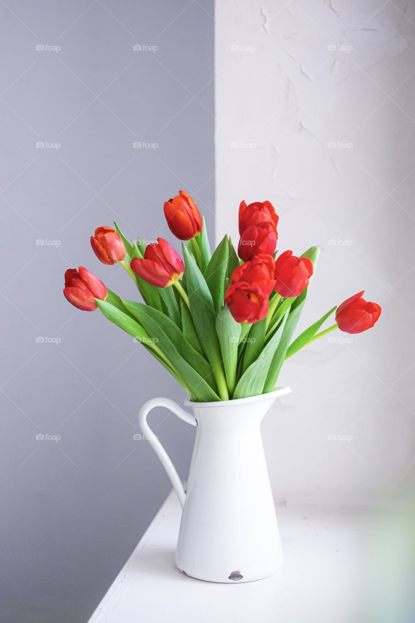 Red tulips bouquet on white background in white vase 