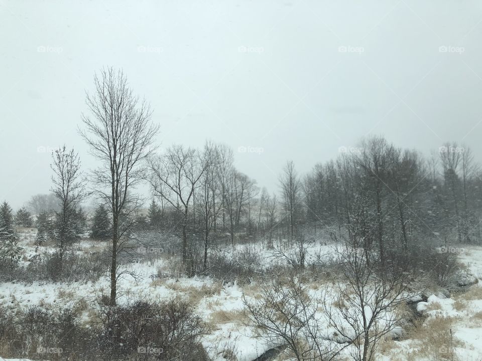 Snowstorm March 5-6 2018