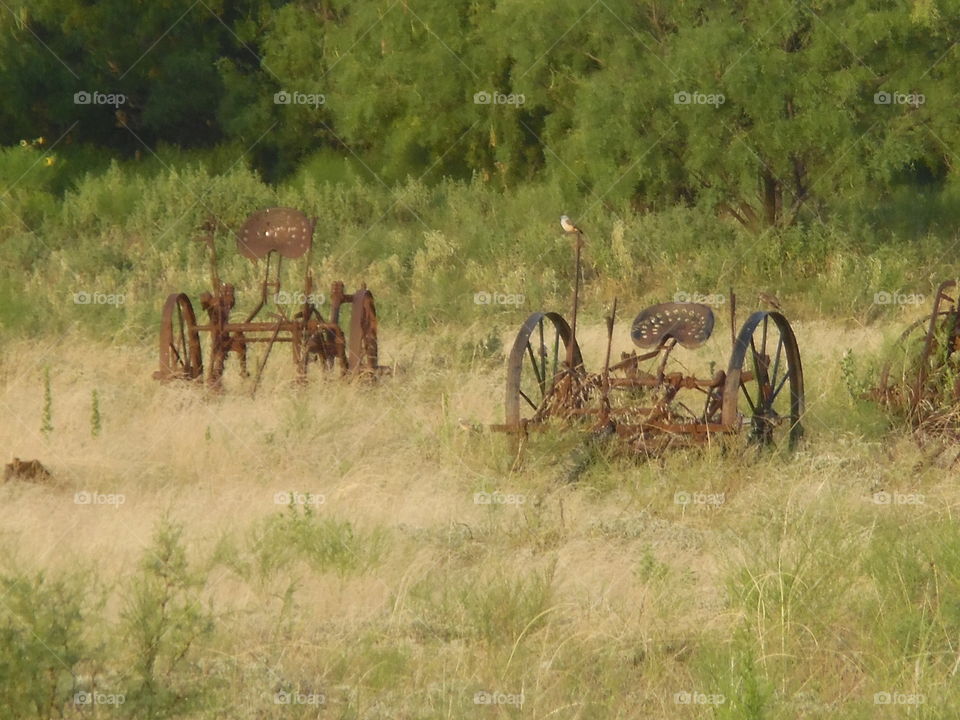 old time farming. This is a picture of some old farm equipment. 👣 🚶 🏃 🔥 💨