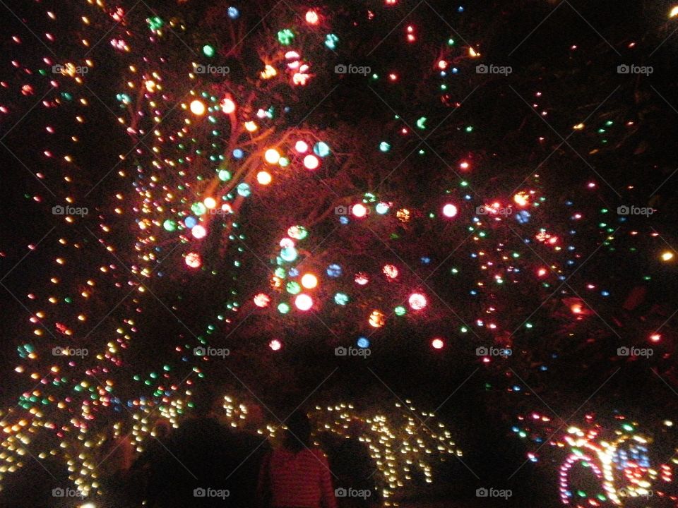 Bellingrath Gardens Christmas lights display