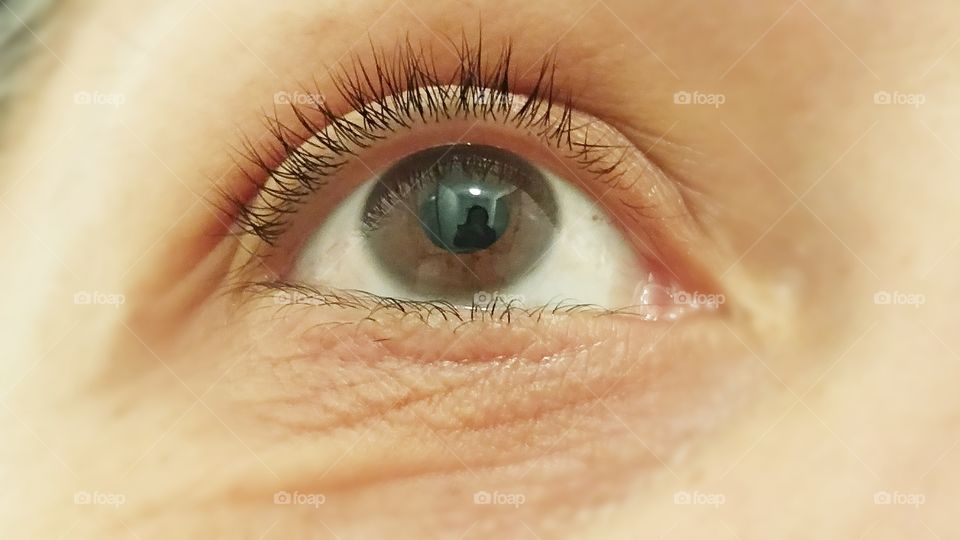 Close-up of human eyes