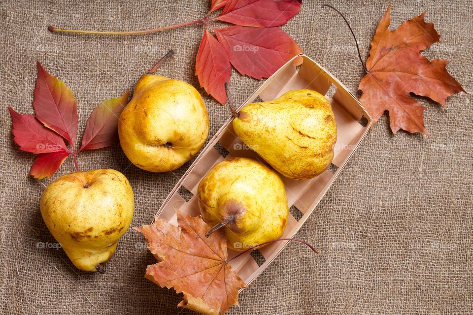 Yellow pears in a corb and red maple leaves on a burlap tissue. Flat lay.