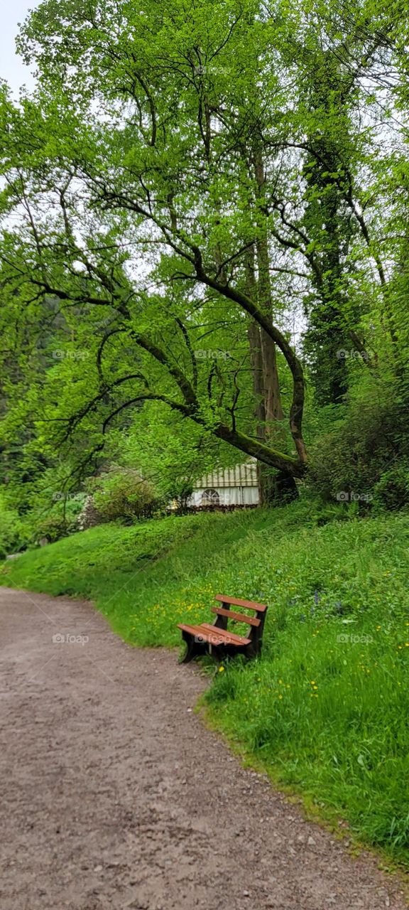Bench