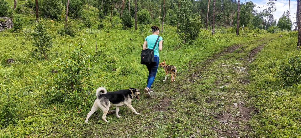 Walking with dogs