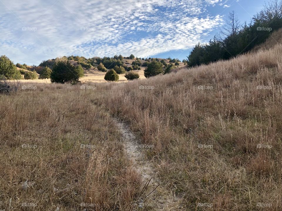 Pasture trail
