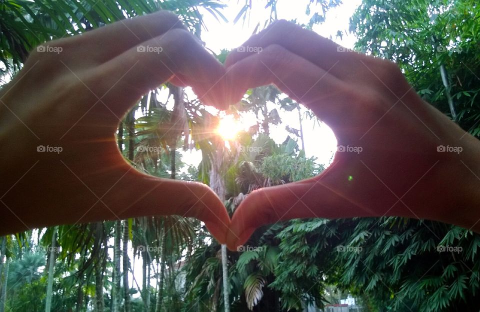 love and sun