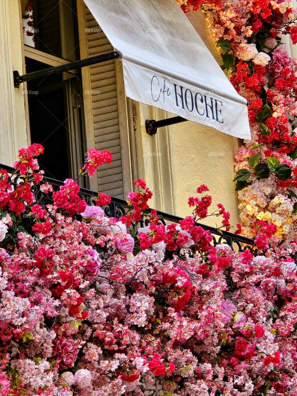 Flowers in Cannes