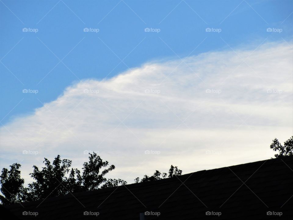 fan cloud