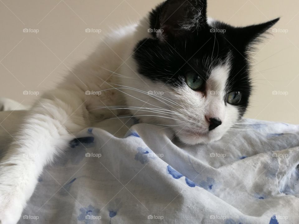 I am lonely, I have no body I am all on my own