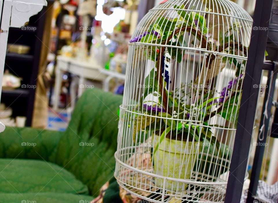 Antique cage with a plant inside at an Antique store