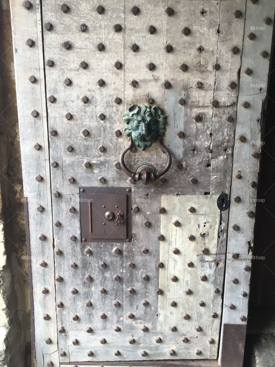 Lions door