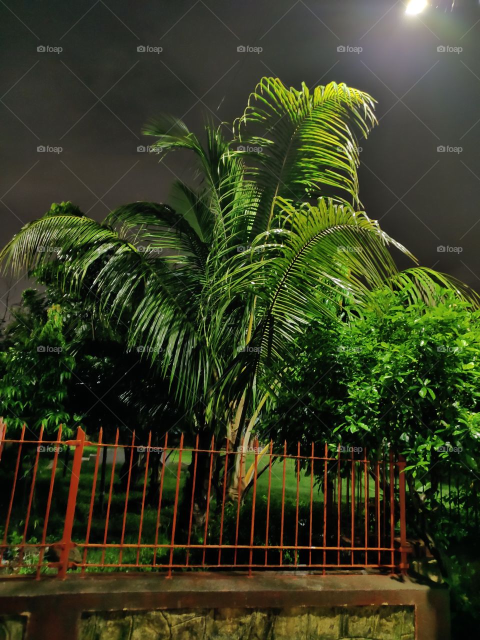 Night Mode🌌🌃
🌴🌴🌴🌴
Rainy Season
Beauty of Flora