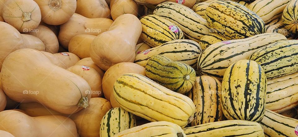 variety of large squash produce for sale in an Oregon market in Autumn