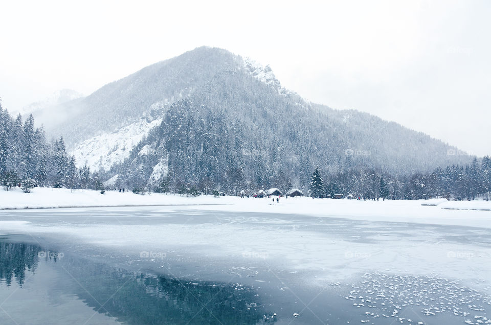 Scenic view of winter landscape with snowcovered trees and mountain river in foggy Alps, Slovenia. Beauty of nature concept background.