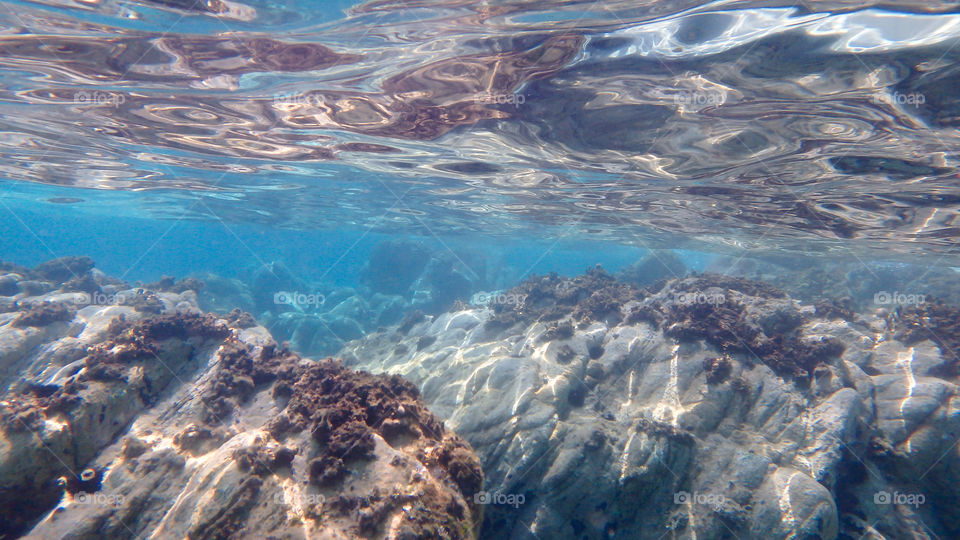 Close-up of rock and coral in sea