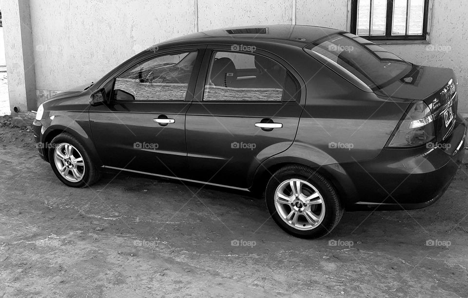 auto en blanco y negro