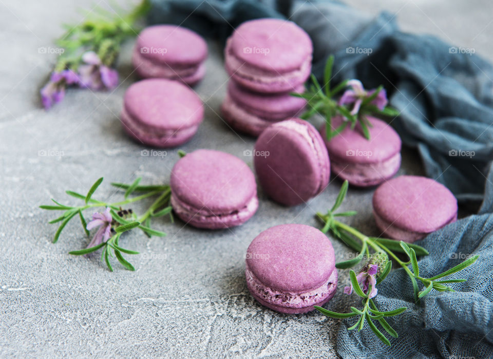 Macaroons and lavender flowers 